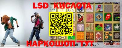 PSILOCYBIN Рыбинск