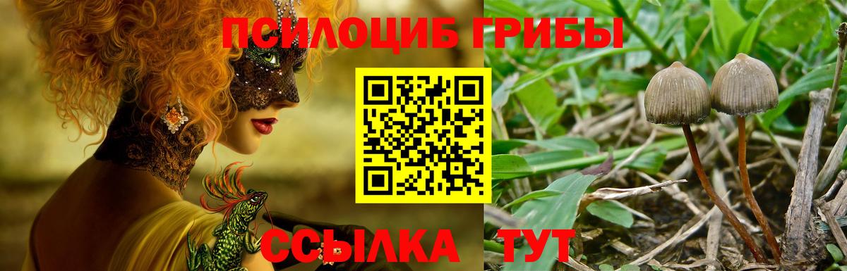 Петропавловск-Камчатский  Псилоцибиновые грибы Magic Shrooms  Вход с VPN  Псилоцибиновые грибы мухоморы 